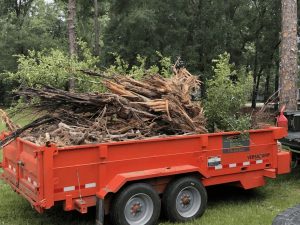 Yard makeover with Bush Hog Gone Wild