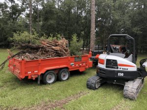 6.5 ton loader being used to clear roots