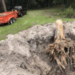 Bush Hog Gone Wild tree stump removal