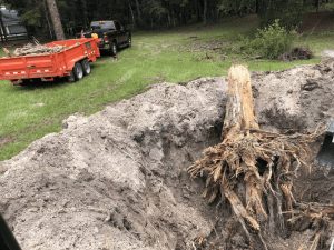 Bush Hog Gone Wild tree stump removal