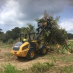 Land, Tree, Stump & Brush Removal Services