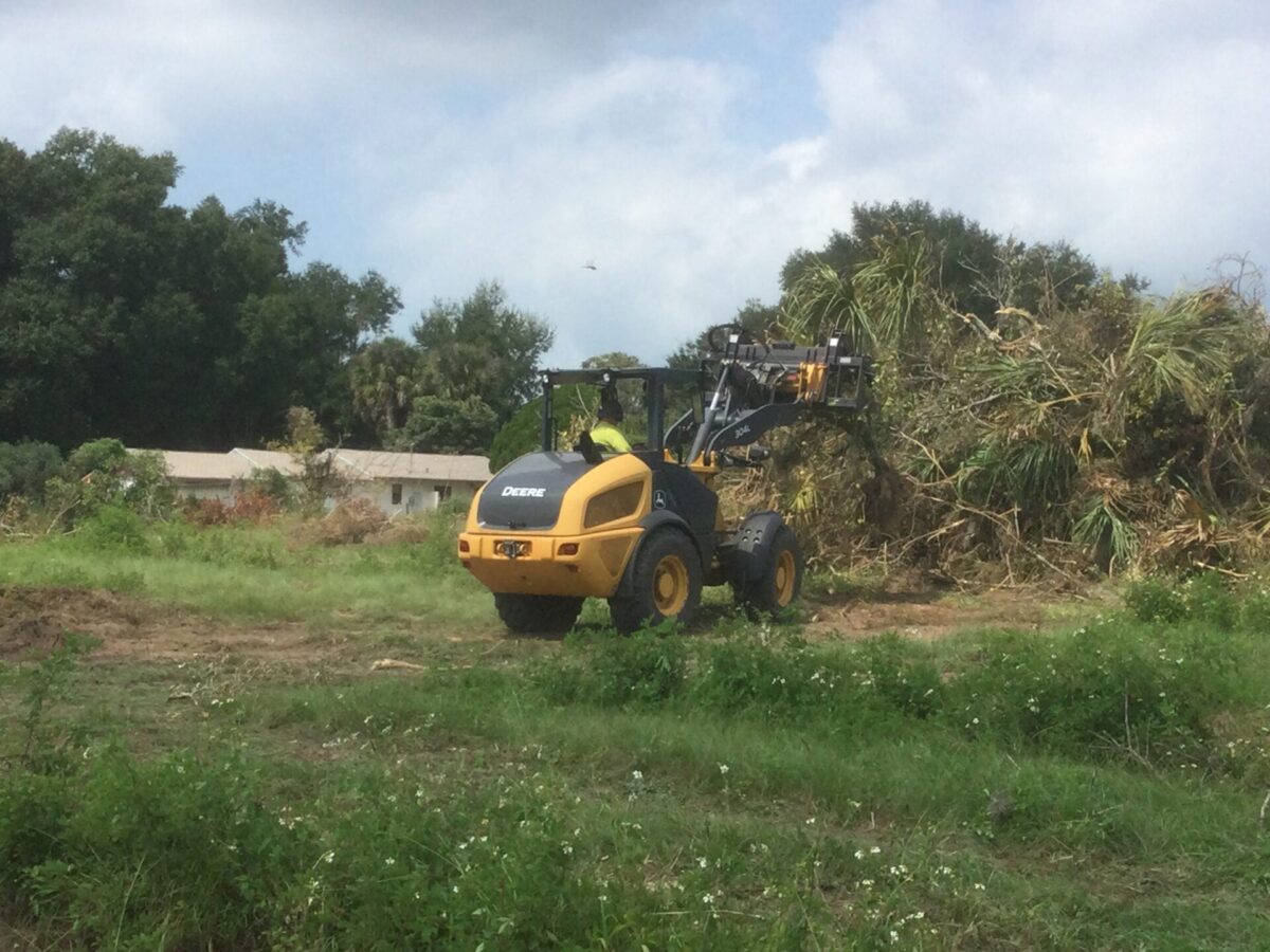 Hurricane Damage Clearing & Removal - Bush Hog Gone Wild