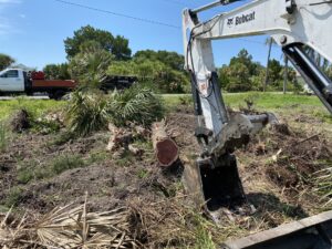 Tree and stump removal with bobcat excavator