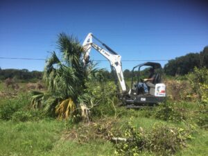 Land tree stump & brush clearing with Bobcat E50 excavator tree removal