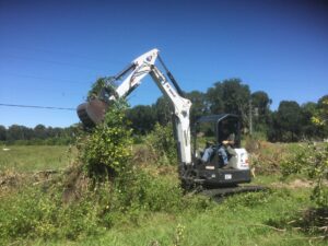 Tree and stump removal with Bobcat E50 Excavator