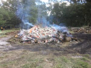 Tree & Stump clearing, removal & on-site burning