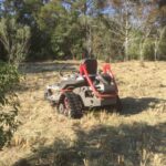 Bush hogging / Brush hog clearing, Tree & Stump Removal – Zephyrhills area