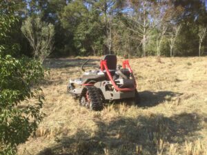 Bush hogging / Brush hog clearing, Tree & Stump Removal – Zephyrhills area