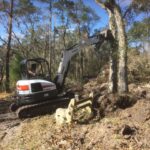 Bush hog / Brush hogging, Tree & Stump Removal – Brooksville area