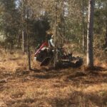 Bush hogging / Brush hog clearing, Tree & Stump Removal – Dunnellon area