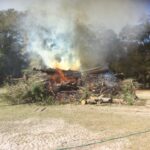 Bush hogging / Brush hog clearing, Tree & Stump Removal & On-site Burning – Dunnellon area