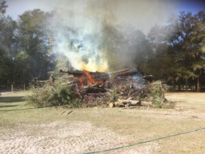 Bush hogging / Brush hog clearing, Tree & Stump Removal & On-site Burning – Dunnellon area