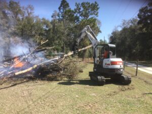 Bush hogging / Brush hog clearing, Tree & Stump Removal & On-site Burning – Brooksville area
