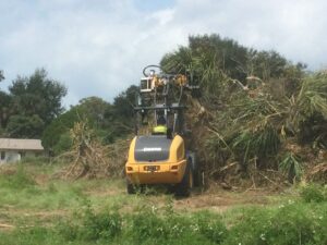 Bush hogging / Brush hog clearing, Tree & Stump Removal & On-site Burning – Inverness area