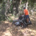 Bush hogging/Brush hogging, forestry mulching in West Central Florida